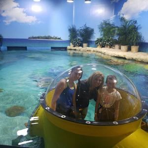 Meet your Posher, Cathy